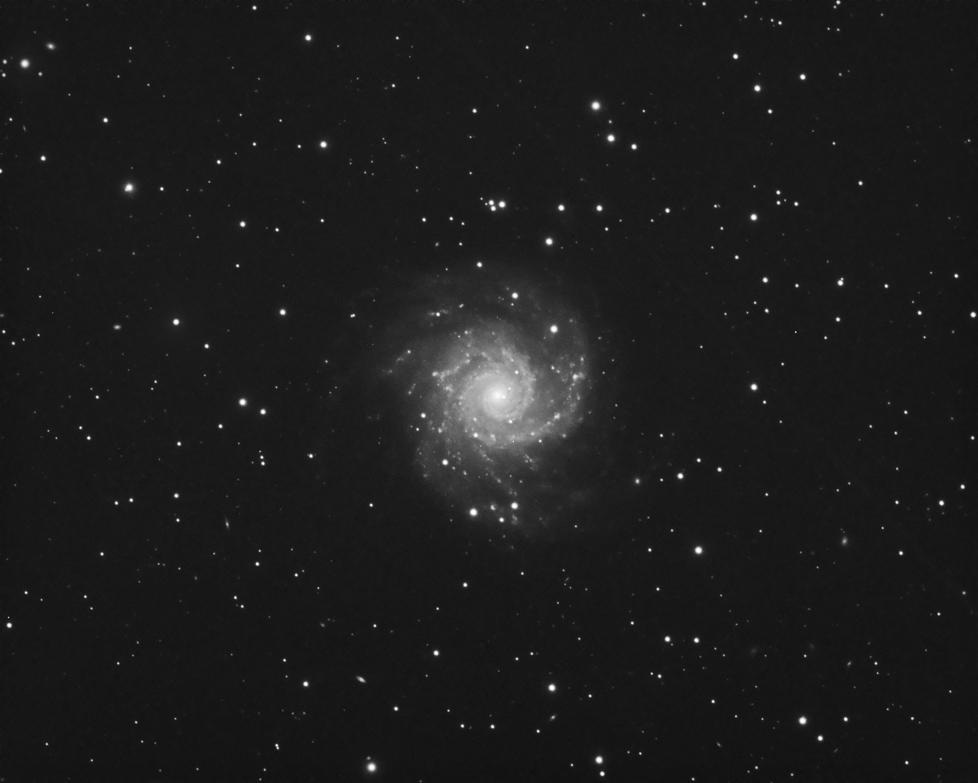 Spiral Galaxy M74 a black and white image