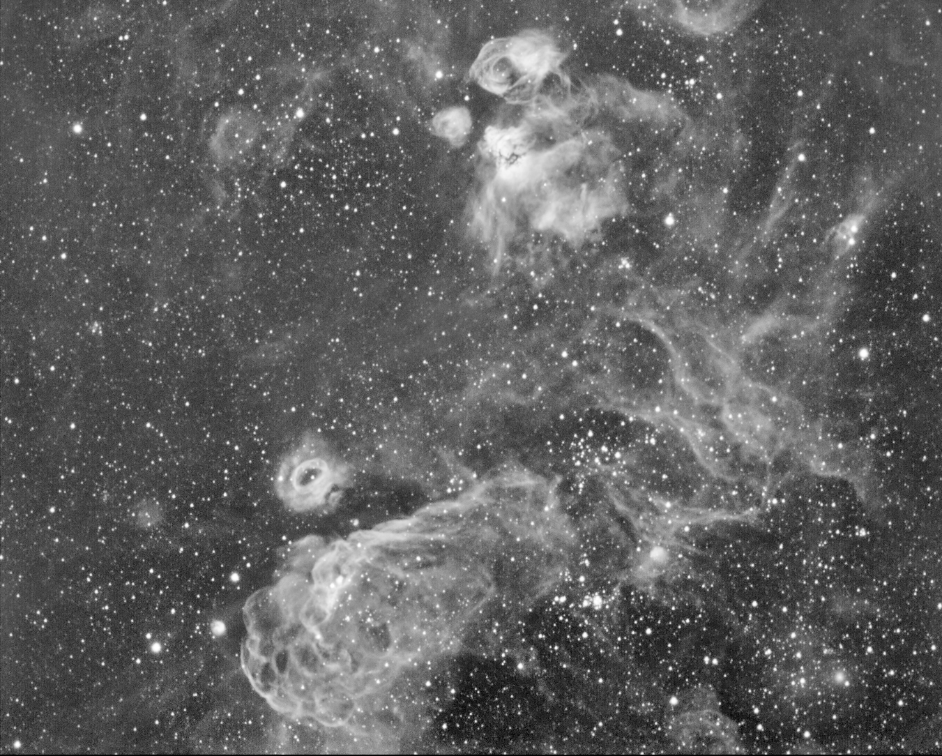 The Seagull Nebula in hydrogen alpha light