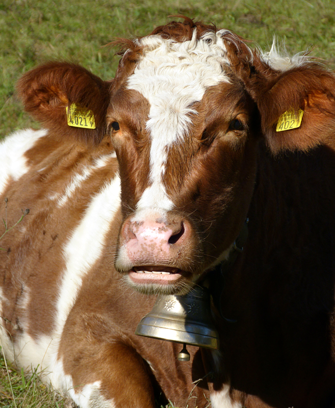 Smiling and curious...