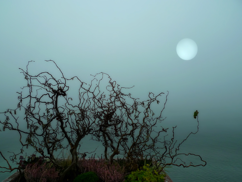 The fog veiled the lake and...