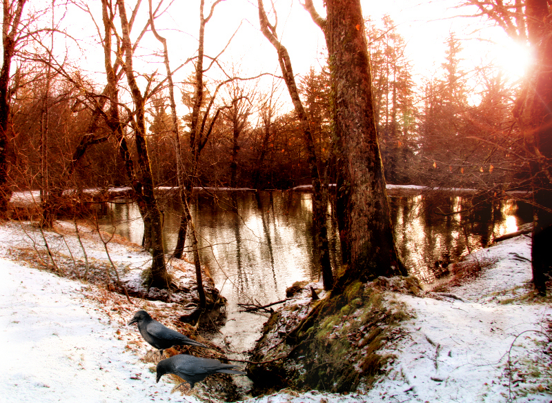Winter pond...