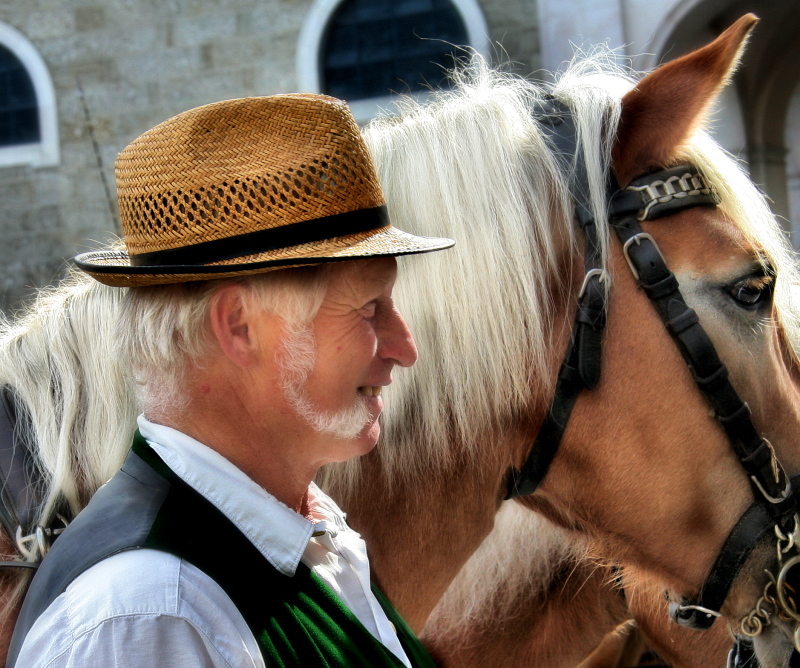 The cabman and his horse...