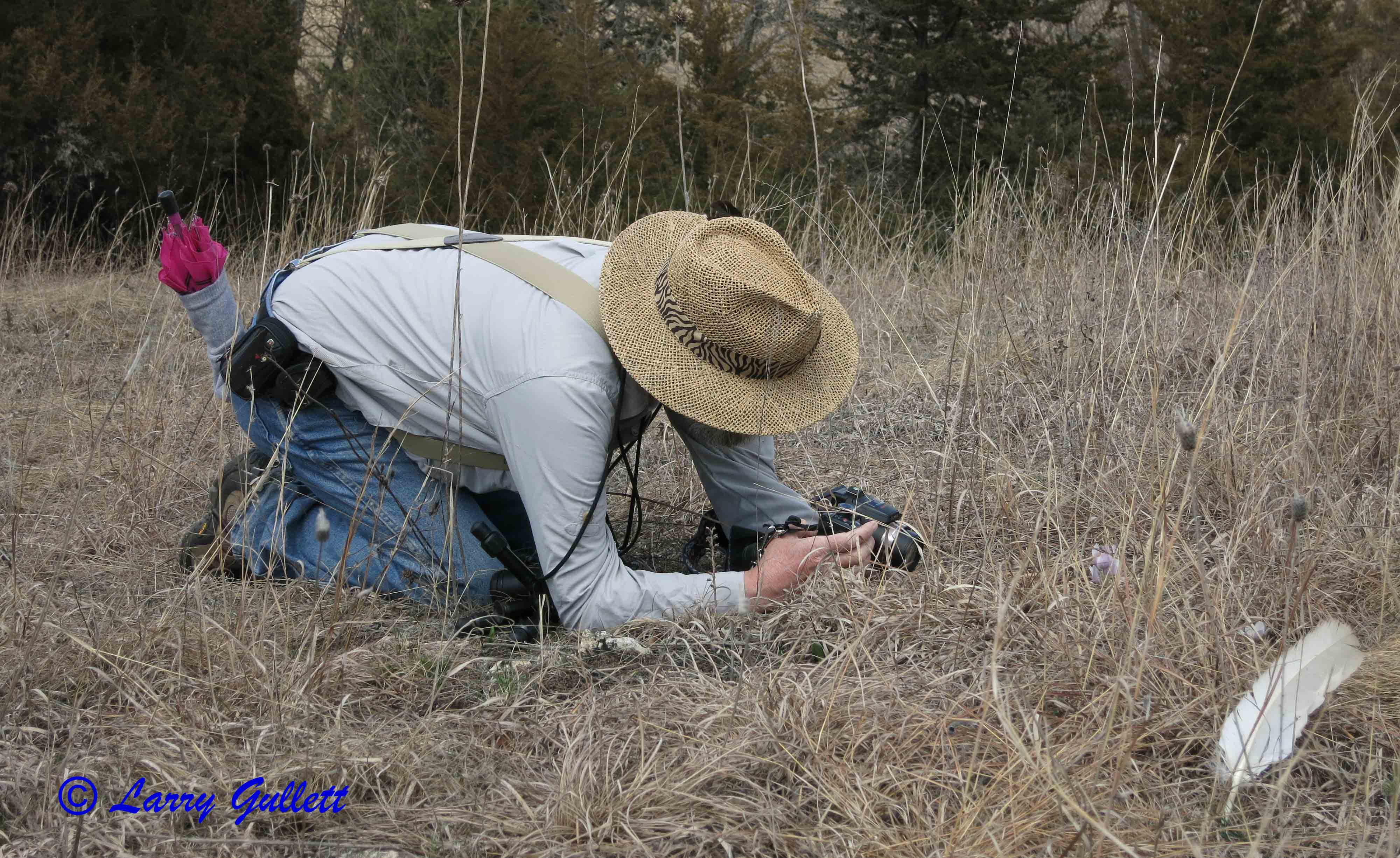 RICK HOLLIS by Larry Gullett.jpg