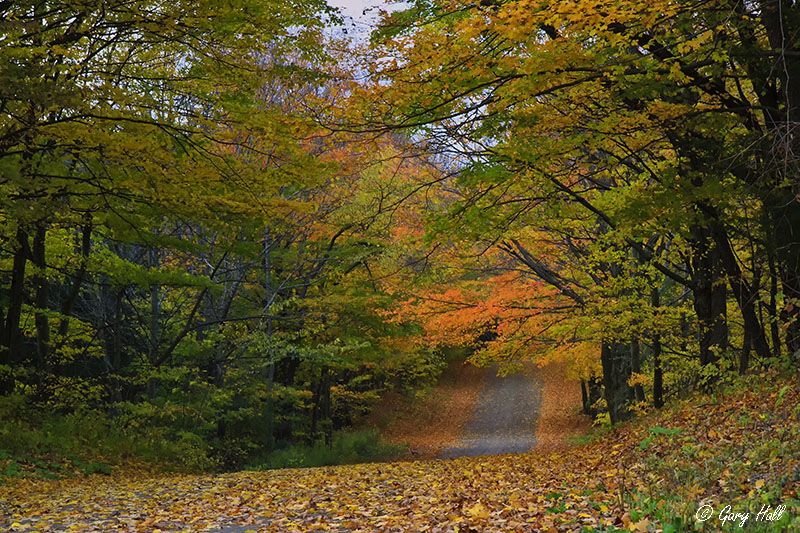 Autumn In The Caledon Hills 2.jpg