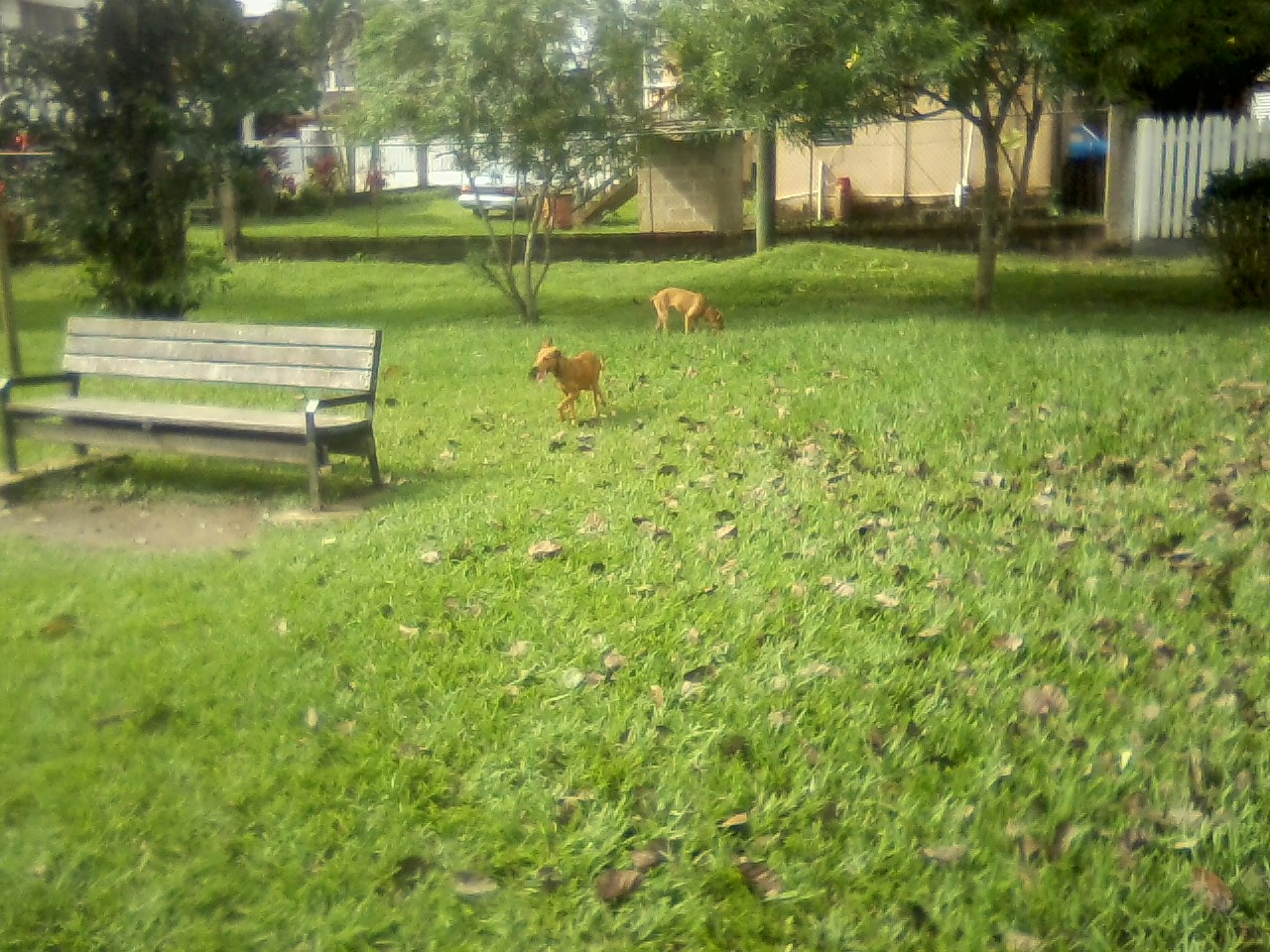 San Ignacio Jan 7 to 10 2015 012.jpg