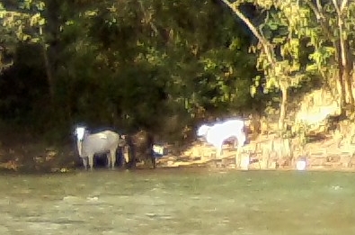 la Ruta Maya Training Day 2 Feb 10 2015 19.jpg