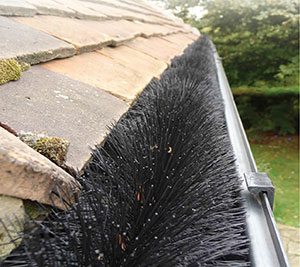 High Pressure Cleaning Gold Coast - Gutters Blocked
