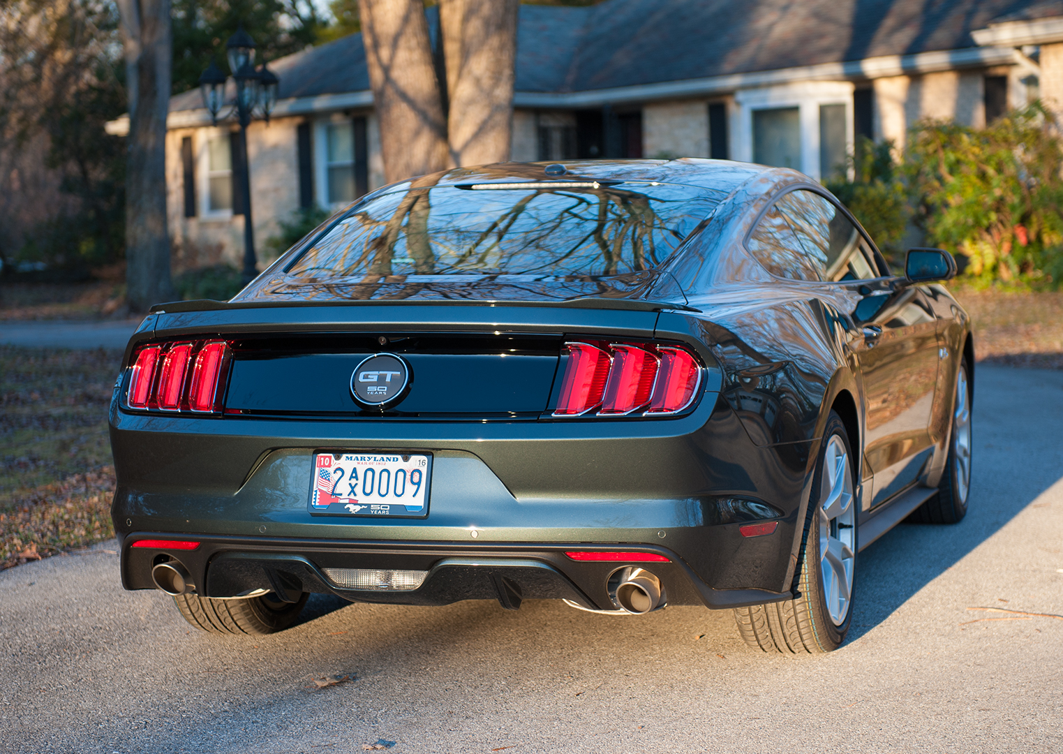 _DSC7748s-crop1080.jpg
