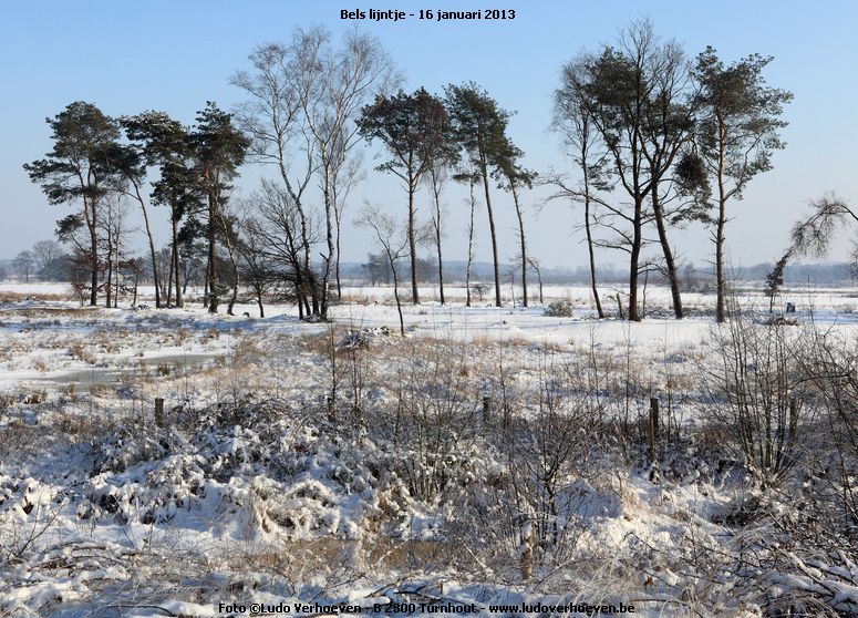 belslijntje_winter_20130116_007.jpg