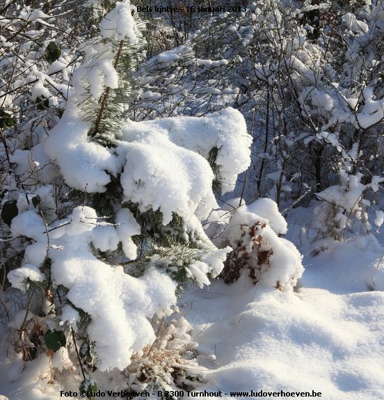 belslijntje_winter_20130116_009.jpg