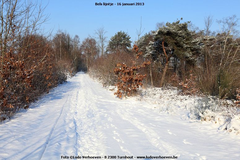 belslijntje_winter_20130116_012.jpg