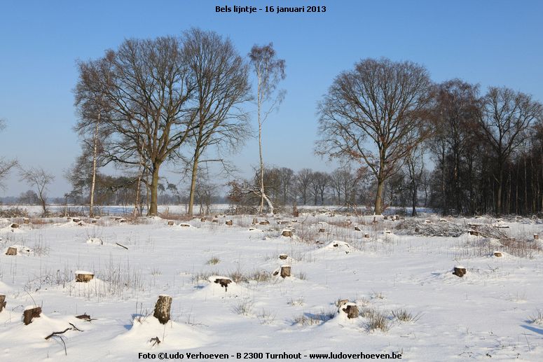 belslijntje_winter_20130116_036.jpg