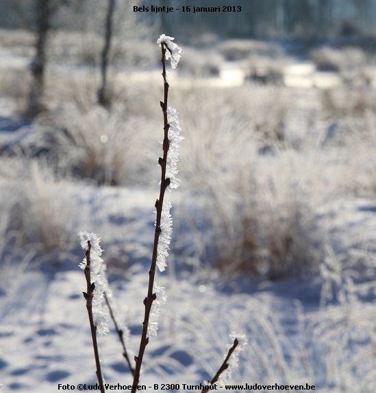 belslijntje_winter_20130116_039.jpg