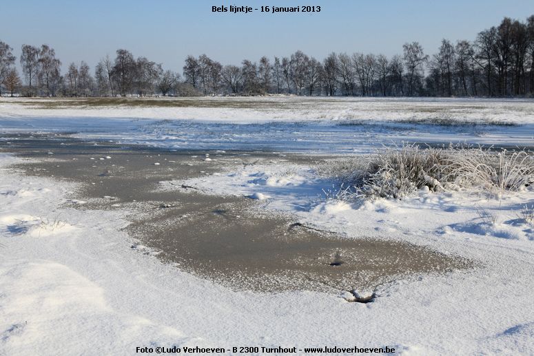 belslijntje_winter_20130116_043.jpg