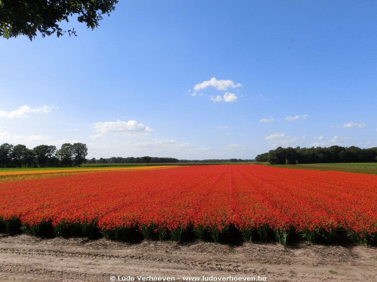 Tussen Alphen en Baarle-Nassau