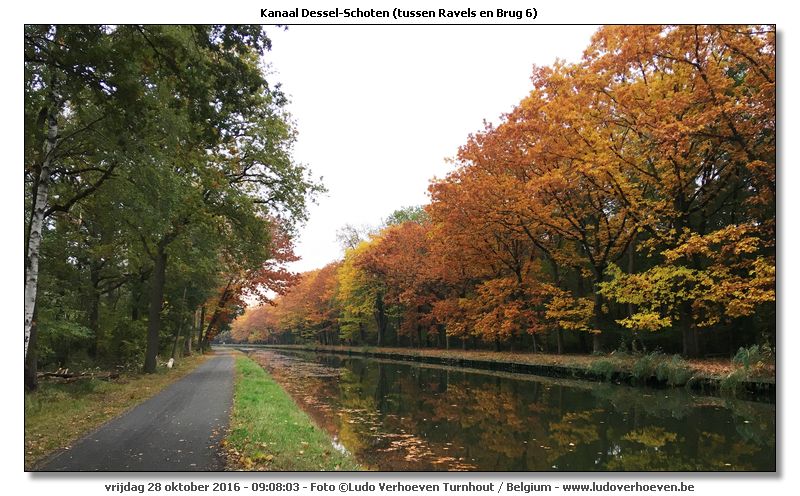 Kanaal Dessel - Schoten