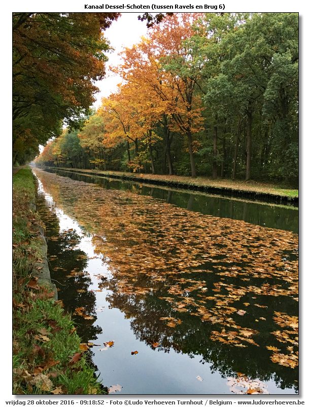 Kanaal Dessel - Schoten