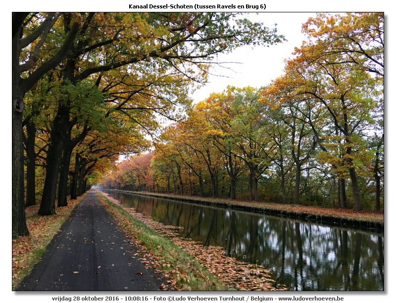 Kanaal Dessel - Schoten