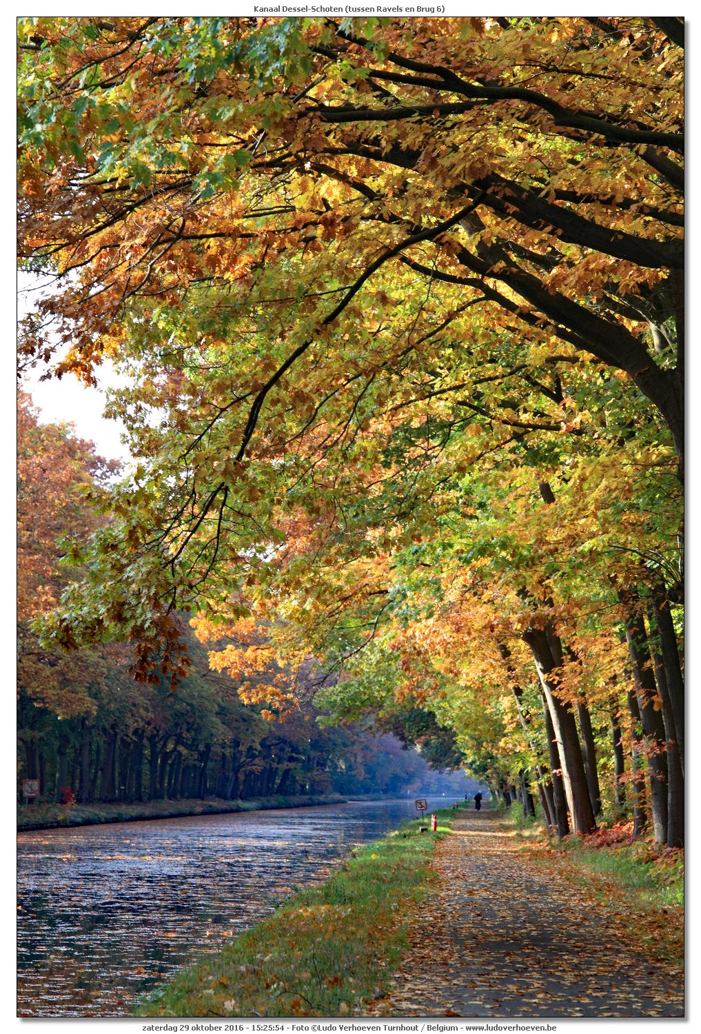 Kanaal Dessel - Schoten