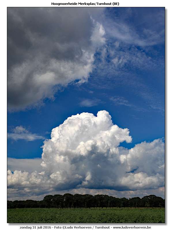 Hoogmoerheide Merksplas / Turnhout