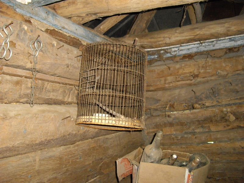 IMGP1040.JPG