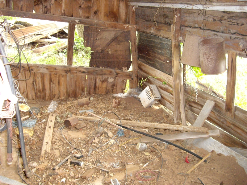 IMGP1041.JPG
