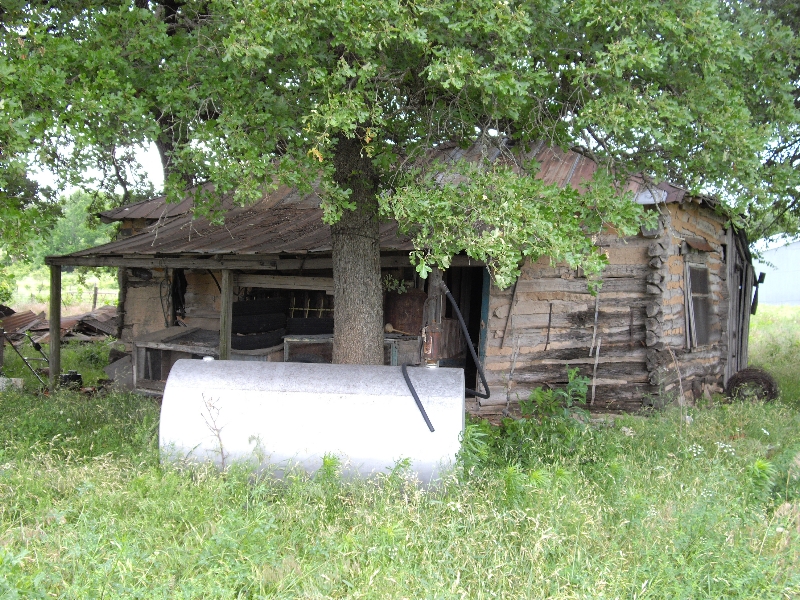 IMGP1049.JPG