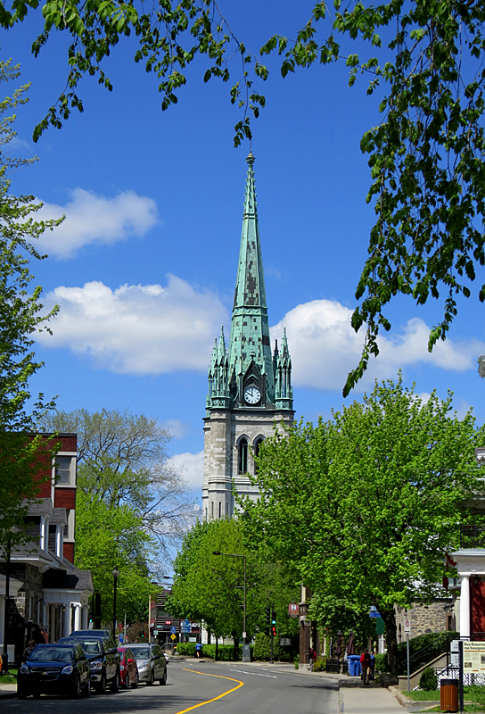 glise dans les arbres