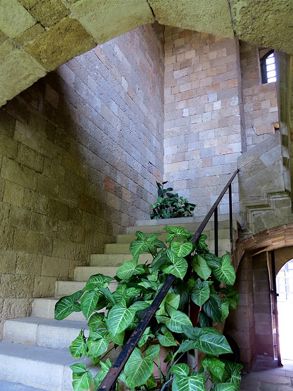 verdure dans l'escalier