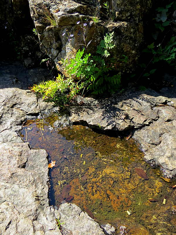 Parc régional des chutes Monte-à-Peine