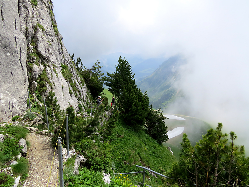 Jardin alpin des Rochers de Nayes