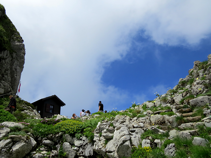 Jardin alpin des Rochers de Nayes