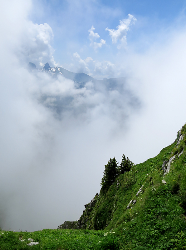 Jardin alpin des Rochers de Nayes