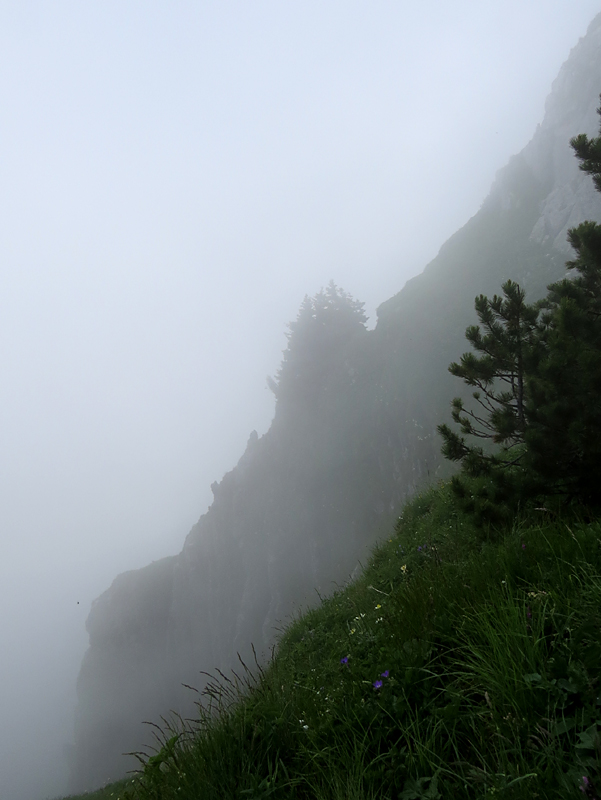 Jardin alpin des Rochers de Nayes