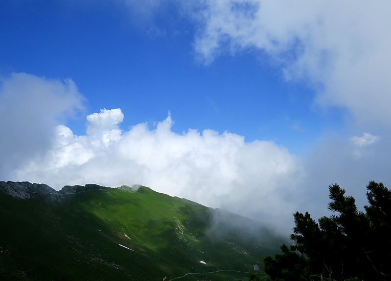 Jardin alpin des Rochers de Nayes