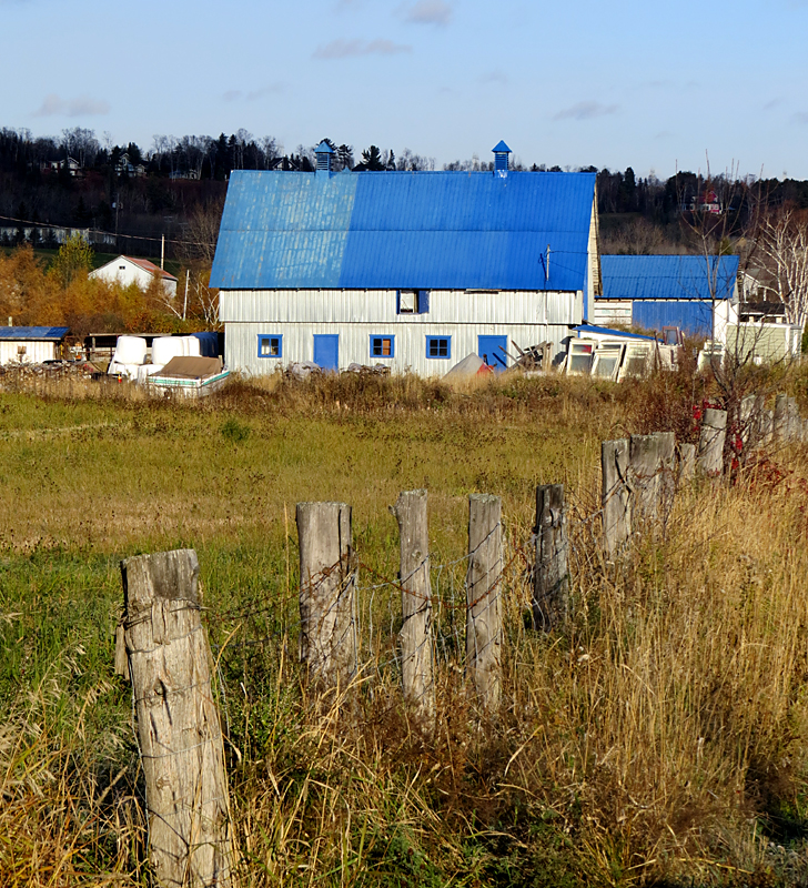 La grange au toit bleu 