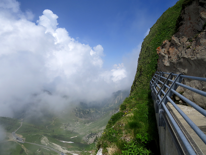 Promenade aux Rochers de Naye