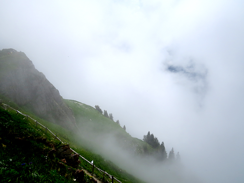 Dans la brume aux Rochers de Naye