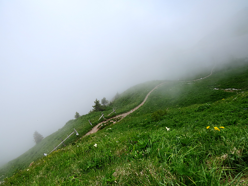 Aux Rochers de Naye, dans la brume