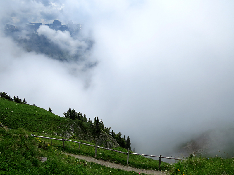 Aux Rochers de Naye