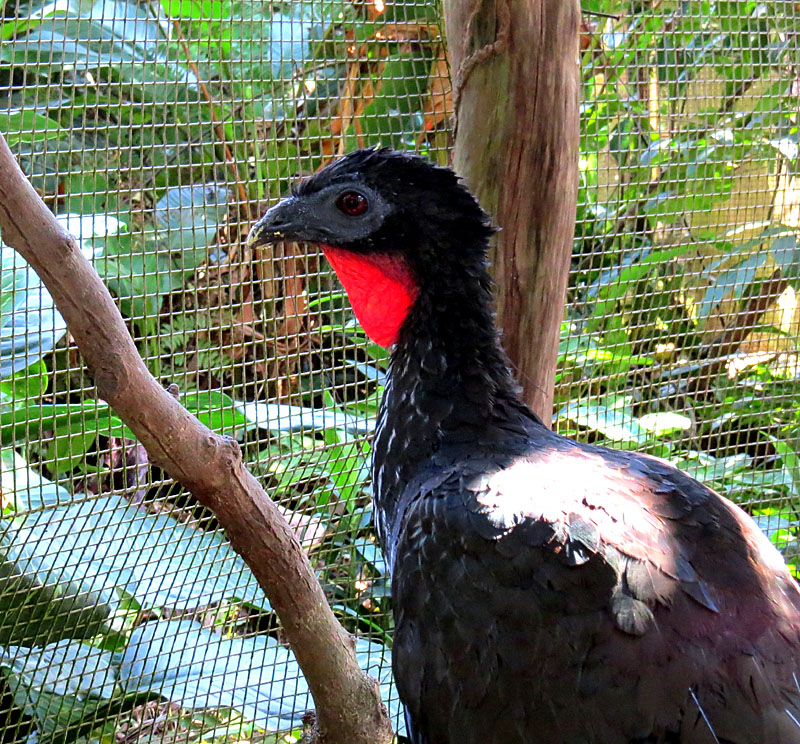 Au refuge El Nispero