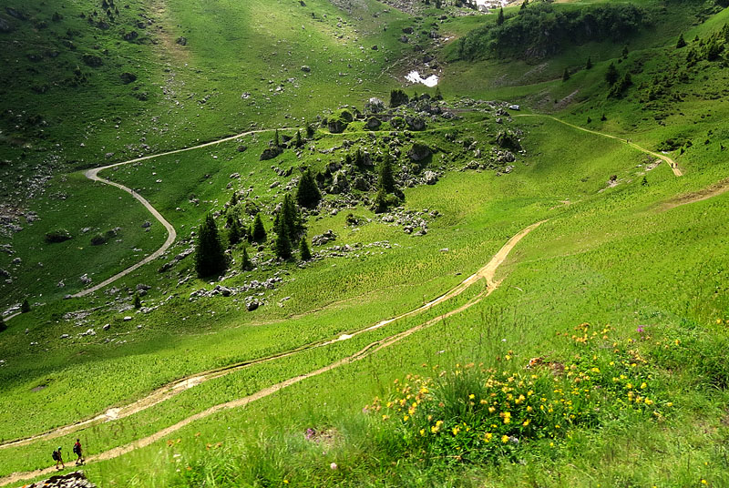 Rochers de Naye, les marcheurs