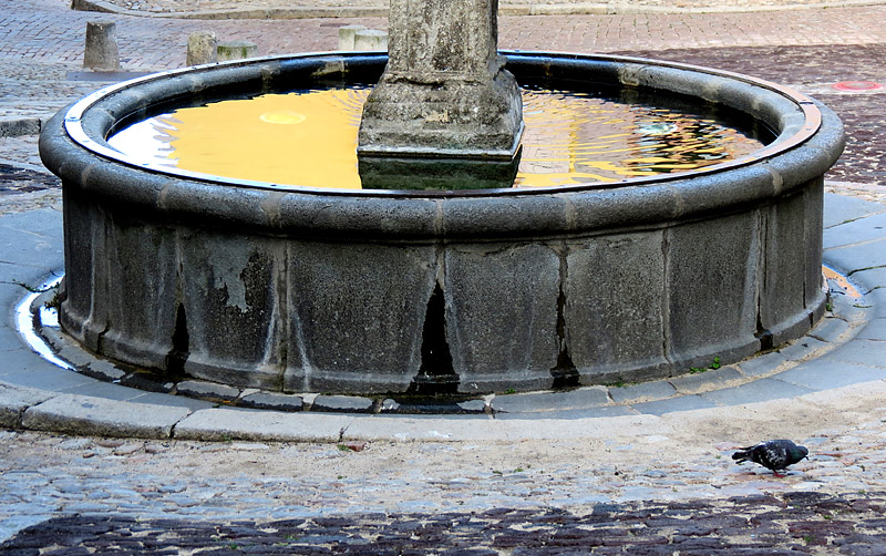 bassin de fontaine dore
