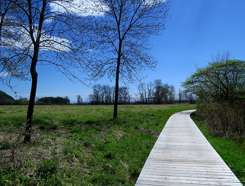 Cap Tourmente, sentier nature