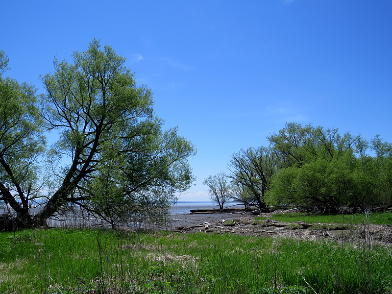 Cap Tourmente, arrive au fleuve