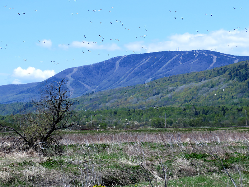 Cap Tourmente et le Mont Ste-Anne