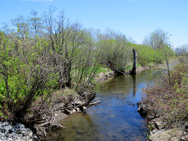 petite rivière