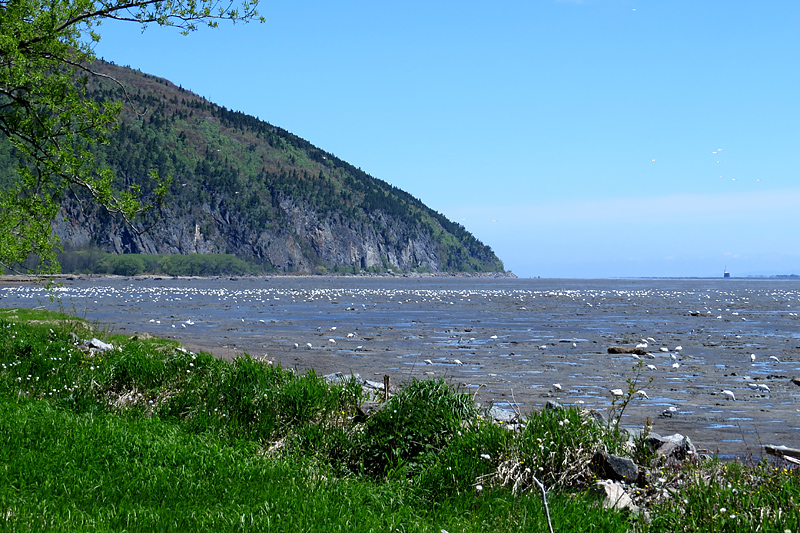 Le Cap Tourmente