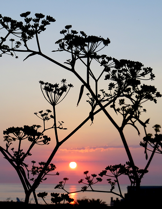 Lever de soleil sur l'Ile de Malte