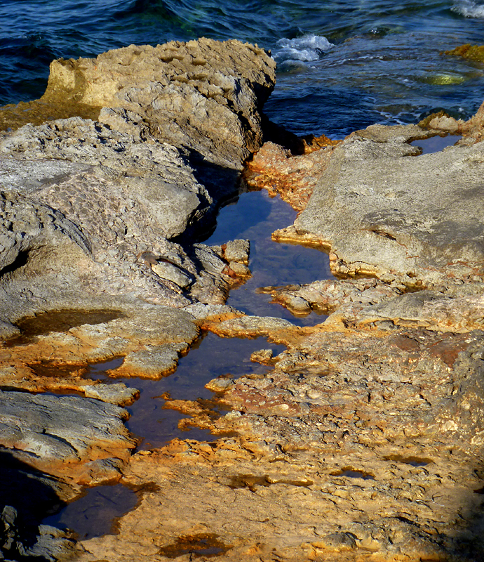 reste de mare haute